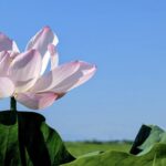 現代スピリチュアリズムに対する社会学・宗教学的批判：新自由主義的統治、魂の階層化、および認識論的危機