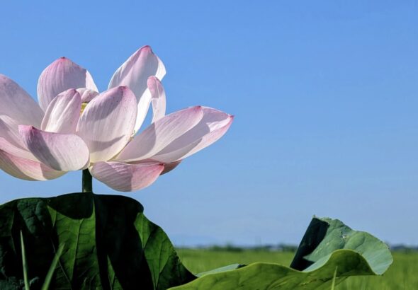 現代スピリチュアリズムに対する社会学・宗教学的批判：新自由主義的統治、魂の階層化、および認識論的危機