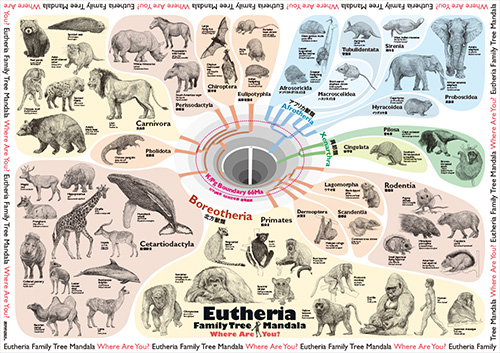 人間はどうしてカテゴライズが好きなのか？